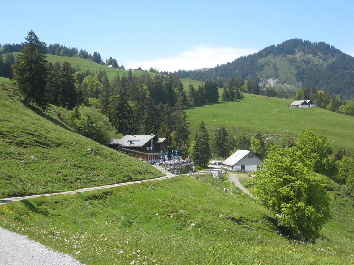 Montlinger Schwamm Oberriet Exterior photo